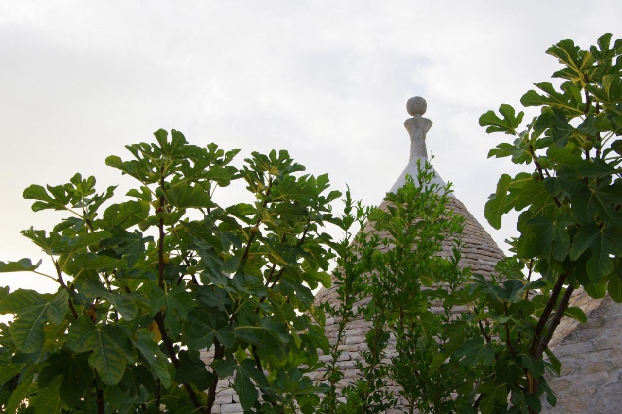 Masseria Sciaiani Piccola Villa Castelli Eksteriør bilde