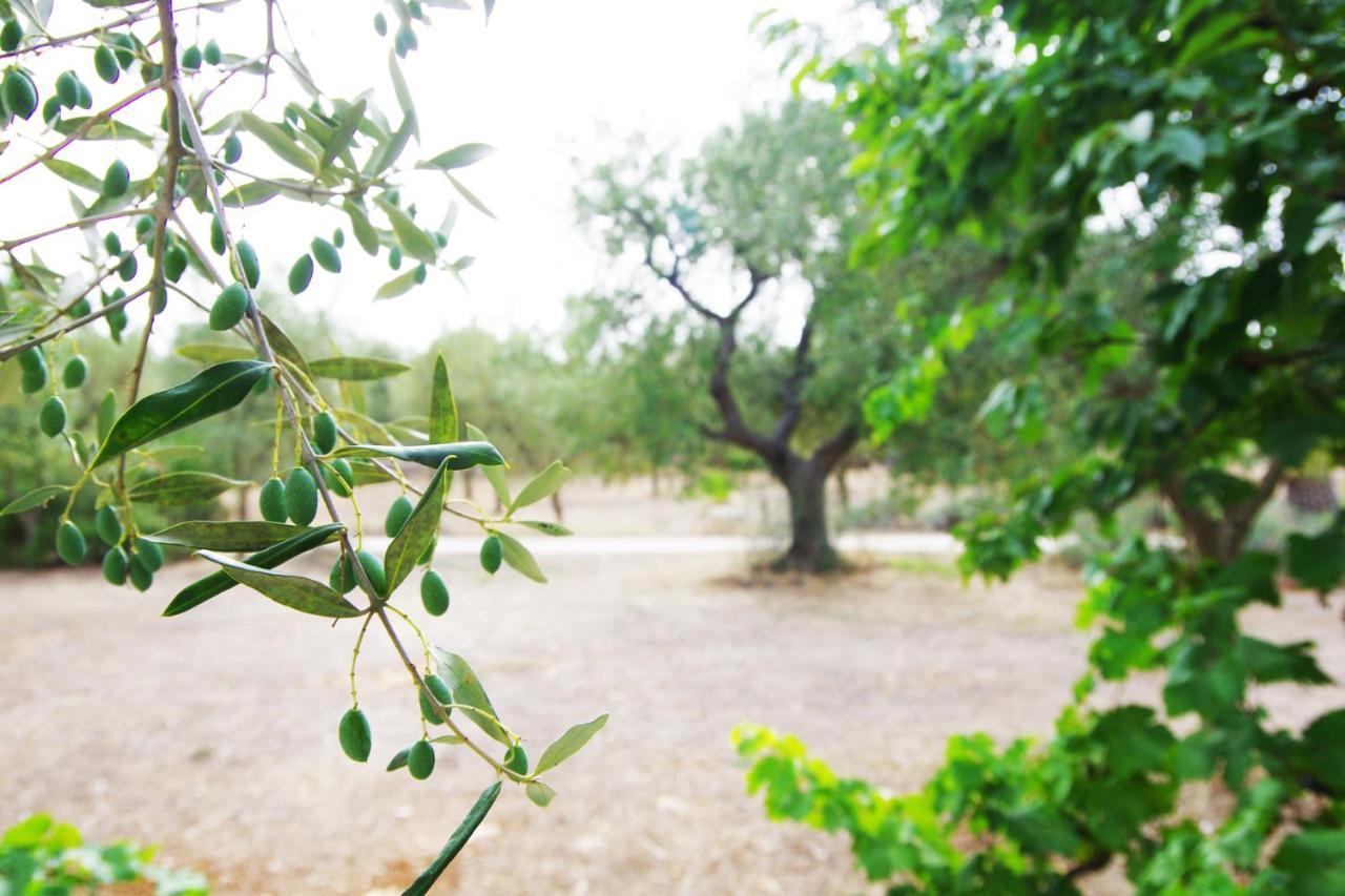 Masseria Sciaiani Piccola Villa Castelli Eksteriør bilde