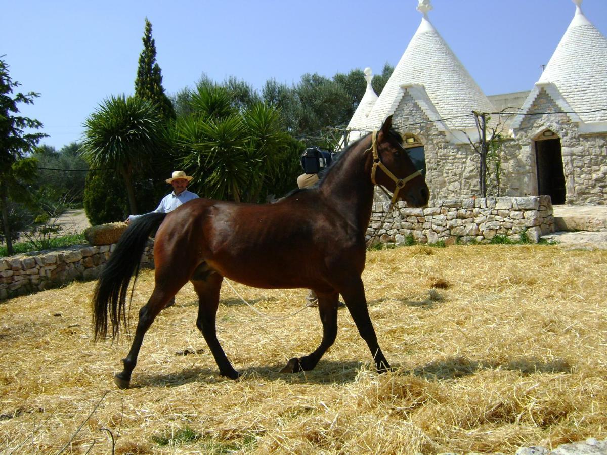 Masseria Sciaiani Piccola Villa Castelli Eksteriør bilde