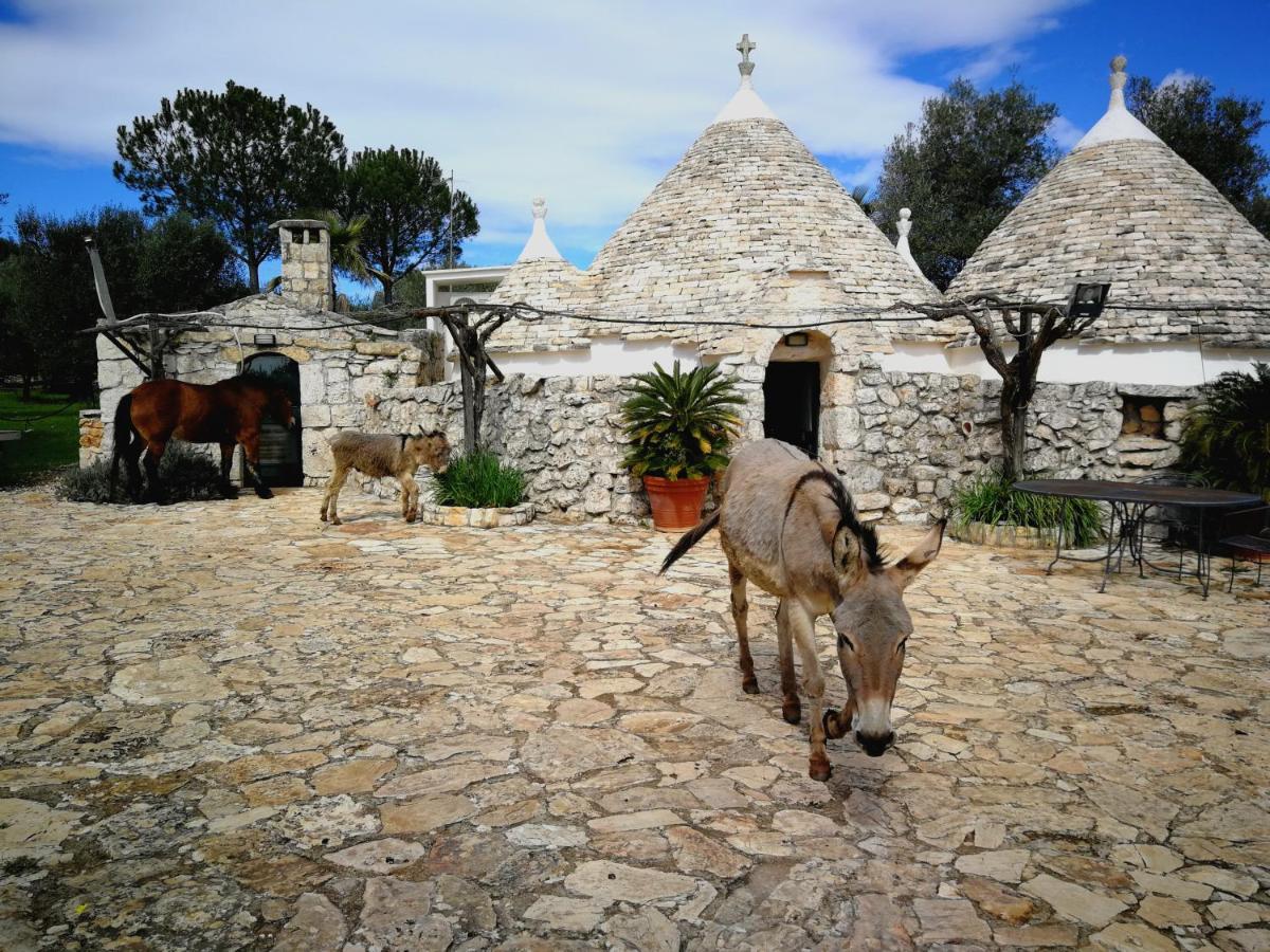 Masseria Sciaiani Piccola Villa Castelli Eksteriør bilde