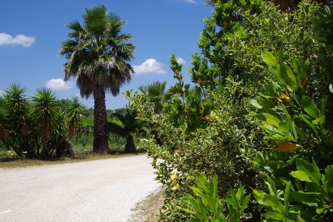 Masseria Sciaiani Piccola Villa Castelli Eksteriør bilde